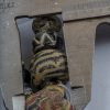 di vaghi di scavo variamente decorati probavilmente provenienti da Turchia o Giava