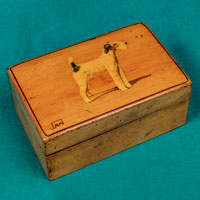 scatola inglese con cane terrier